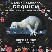 Cardoso: Requiem, Lamentations, Magnificat & Motets