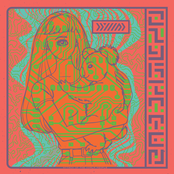 Attack of the Koala People