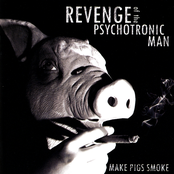 Mainstream Music Is Shit by Revenge Of The Psychotronic Man