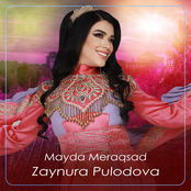 Mayda Meraqsad