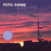 Bird On A Wire by Fatal Shore