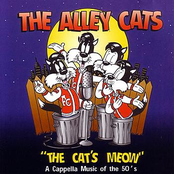 Alley Cats: The Cat's Meow