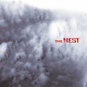 the nest