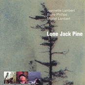 Lone Jack Pine