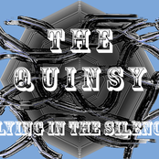 FLYING IN THE SILENCE