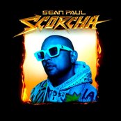 Light My Fire (feat. Gwen Stefani & Shenseea)