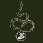 Grits & Greens: Lies