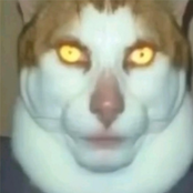 MONDAY LEFT ME BROKEN