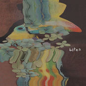 Bites