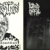 Premature Necropsy - Infernal Disgust -split