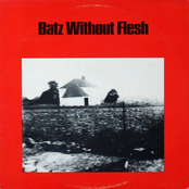 Batz Without Flesh