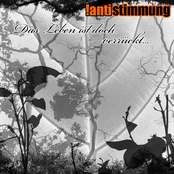 Das Leben ist doch verrückt