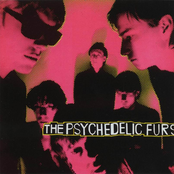 the psychedelic furs