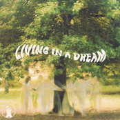 Living in a dream