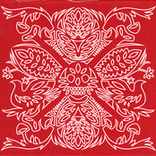 Cień chmury nad ukrytym polem (CD, Instant Classic)