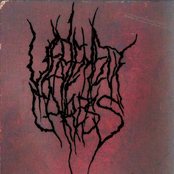 Vehement Caress