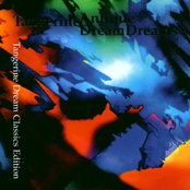 Flock Of Bluebirds by Tangerine Dream