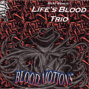 Blood Motions