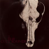 The Cult Sounds