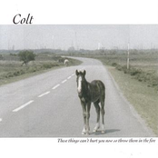 Menace by Colt