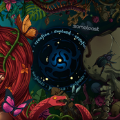 Creation : Evolved