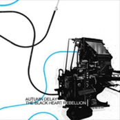 split w The Black Heart Rebellion