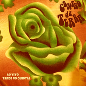 Tarde no Quintal