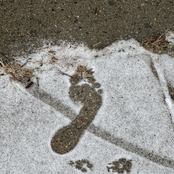 The Idiot / The Car Knows the Way