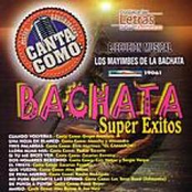 los mayimbes de la bachata