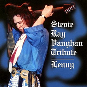 Stevie Ray Vaughan Tribute -