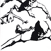 Dance Disaster Movement: On