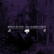 Bosco Di Pan \ Gli Alberi Verdi