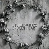 Broken Heart