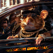 Hamster Criminal