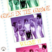 Girls In The Garage Vol. 11