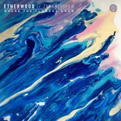 Album art for Etherwood - Where The Flowers Grow