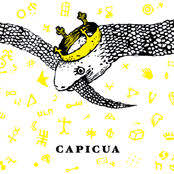 Delight by Capicua