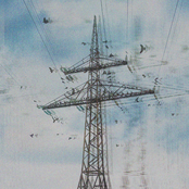 se me cayó la sal en un arbusto