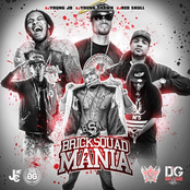 Bricksquad Mania 2