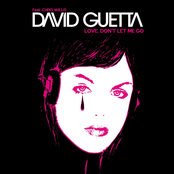 Love Don't Let Me Go by David Guetta