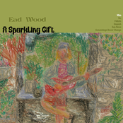 A Sparkling Gift