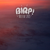 BIRP! Best of 2015