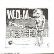 Democracy 7"