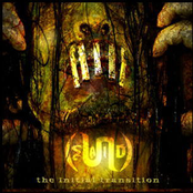 The Initial Transition