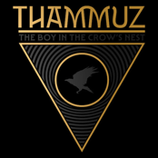 The Boy in the Crow's Nest