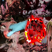 Goo Flow Album
