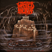 Maze of Terror / Behold the Sacred Fire