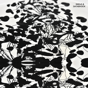 Nadja / Datashock