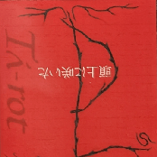 頭上に咲いた逆さまの花 “The flower blooming overhead is inversion” 2ndプレス