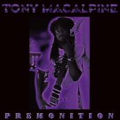 Winter In Osaka by Tony Macalpine